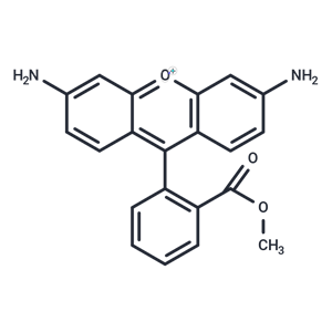 化合物 Rhodamine 123 free base|T16743L|TargetMol