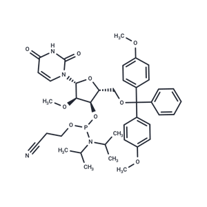 化合物 DMT-2'O-Methyl-rU Phosphoramidite|T66403|TargetMol