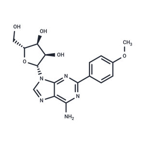 化合物 CV-1674|T31115|TargetMol