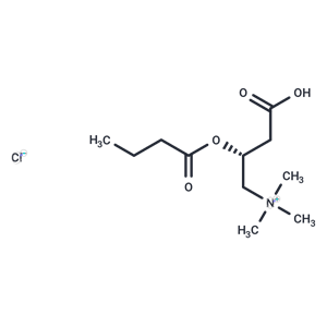 Butyryl-L-carnitine (chloride)|T37453|TargetMol