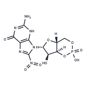 化合物 8-Nitro-cGMP|T68374|TargetMol