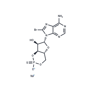 Rp-8-bromo-Cyclic AMPS (sodium salt),Rp-8-bromo-Cyclic AMPS (sodium salt)