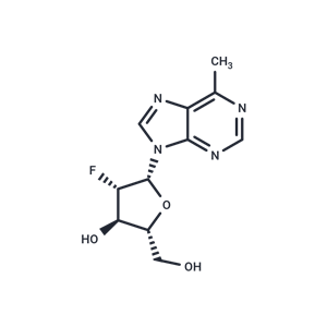 化合物 6-Methylpurine-2’-deoxy-2’-fluoro-beta-D-arabinoriboside|TNU0028|TargetMol