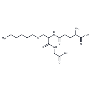 化合物 Hexylglutathione|T27541|TargetMol