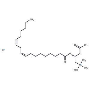 Linoleoyl-L-carnitine (chloride)|T36050|TargetMol