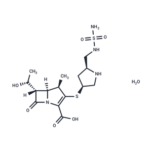 化合物 Doripenem hydrate|T84433|TargetMol