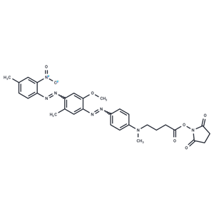 化合物 BHQ-1 NHS|T82889|TargetMol