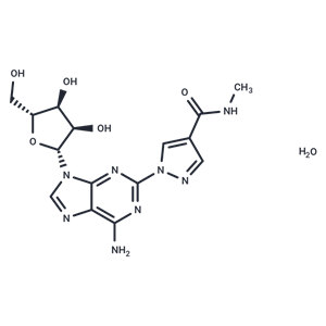 化合物 Regadenoson hydrate|T26054|TargetMol