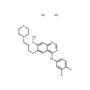 化合物 Gefitinib dihydrochloride|T63630|TargetMol