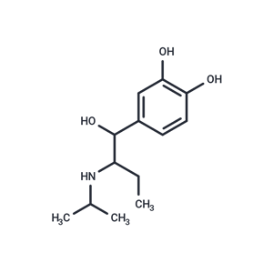 化合物 Isoetharine|T4983L|TargetMol