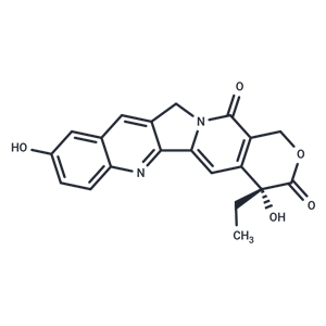 9-羥基喜樹堿,9-Hydroxycamptothecin