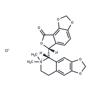 化合物 Bicuculline methochloride|T74112|TargetMol