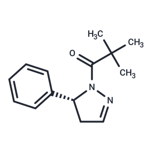 化合物 GSK962|T15444|TargetMol