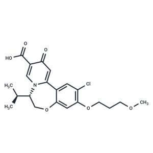 化合物 HBV-IN-11|T62256|TargetMol