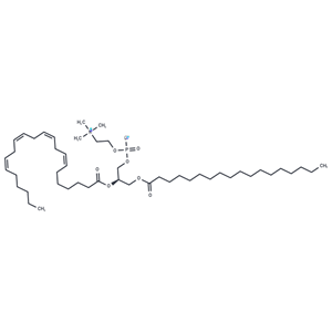 化合物 1-Stearoyl-2-Adrenoyl-sn-glycero-3-PC|T85003|TargetMol