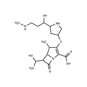 化合物 Lenapenem|T27813|TargetMol