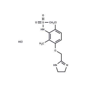 化合物 Dabuzalgron HCl|T10952L|TargetMol