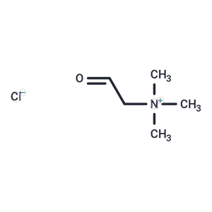 Betaine Aldehyde (chloride)|T36056|TargetMol