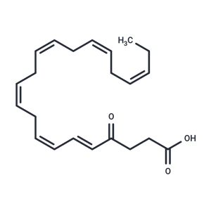 4-oxo Docosahexaenoic Acid|T36868|TargetMol