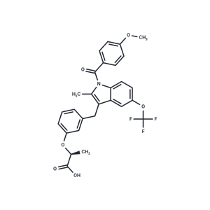 化合物 MLR24|T24486|TargetMol