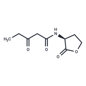 N-3-oxo-pentanoyl-L-Homoserine lactone,N-3-oxo-pentanoyl-L-Homoserine lactone