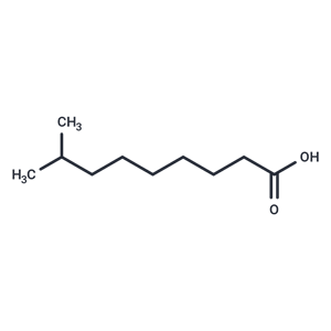 8-methyl Nonanoic Acid|T38277|TargetMol