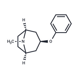 化合物 NK-1145|T33696|TargetMol