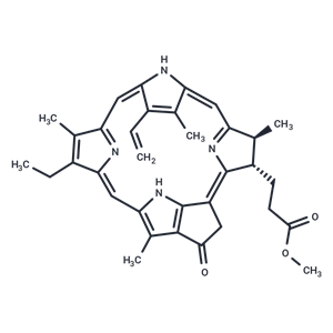 焦脫鎂葉綠酸 a 甲酯|T33492|TargetMol
