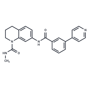 化合物 DC-CPin711|T61719|TargetMol