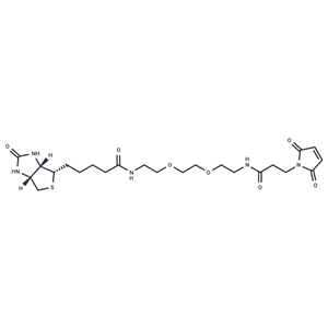 化合物 Biotin-PEG2-Mal|T14586|TargetMol