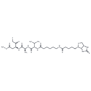 化合物 Biotin-VAD-FMK,Biotin-VAD-FMK