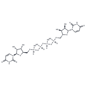 化合物 Diquafosol Free Base|T69030|TargetMol