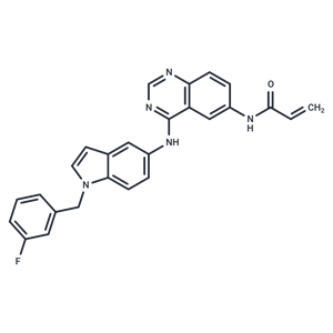 化合物 EGFR-IN-557|T70324|TargetMol