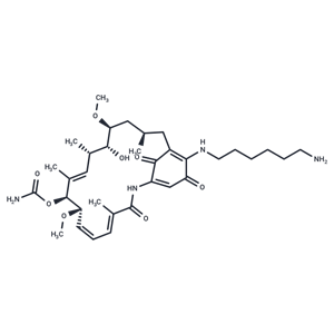 Aminohexylgeldanamycin|T37377|TargetMol