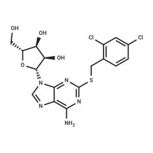 化合物 2-(2,4-Dichlorobenzyl)thioadenosine|TNU0986|TargetMol