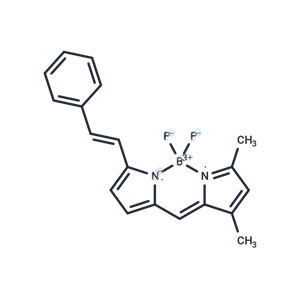 STY-BODIPY|T36504|TargetMol