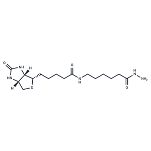 生物素LC酰肼|T19210|TargetMol