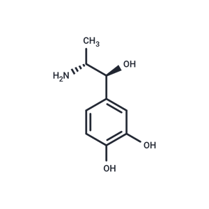 化合物 Nordefrin,Nordefrin