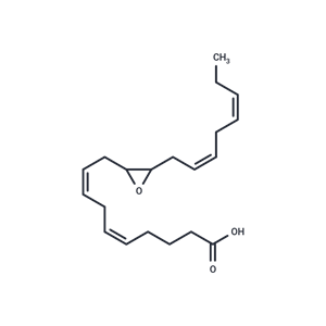 化合物 (±)11(12)-EpETE,(±)11(12)-EpETE