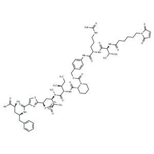 MC-VC-PAB-Tubulysin M|T39125|TargetMol