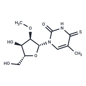 化合物 2’-O-Methyl-5-methyl-4-thiouridine|TNU0238|TargetMol