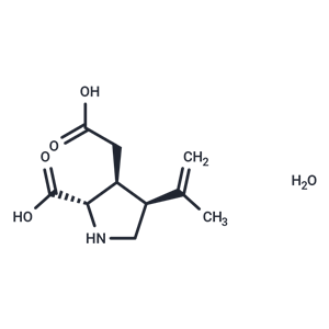 (-)-(α)-Kainic Acid (hydrate)|T37557|TargetMol