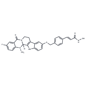 化合物 HDAC/Top-IN-1|T63543|TargetMol