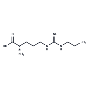 Nω-Propyl-L-arginine|T38786|TargetMol