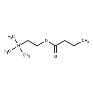 化合物 Butyrylcholine|T30640|TargetMol