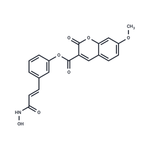 化合物 HDAC-IN-42,HDAC-IN-42