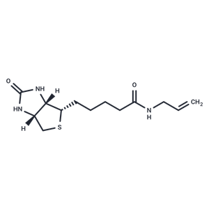 SNOB 1 Reagent|T38012|TargetMol