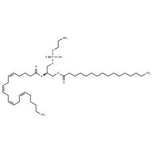 化合物 1-Palmitoyl-2-Arachidonoyl-sn-glycero-3-PE|T85016|TargetMol