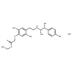 化合物 Ritobegron HCl|T34333|TargetMol