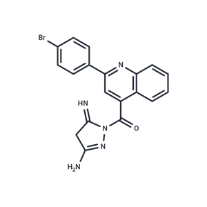 化合物 DNA Gyrase-IN-8|T78712|TargetMol